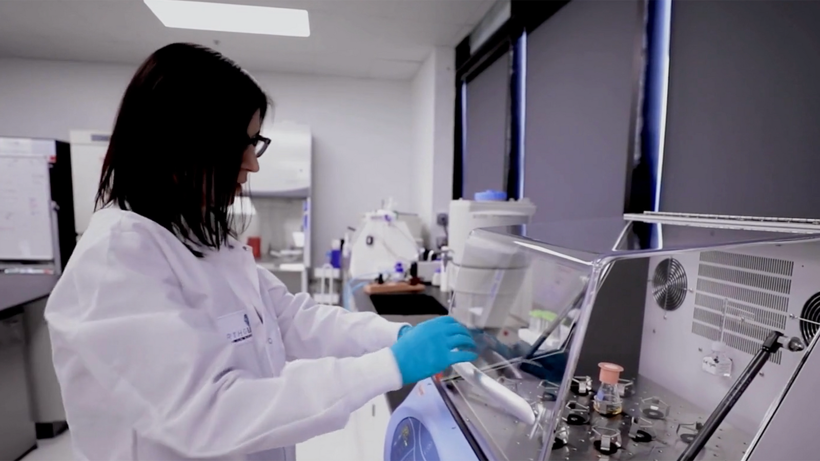 How to work with Orthobond